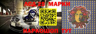 крисы Сланцы