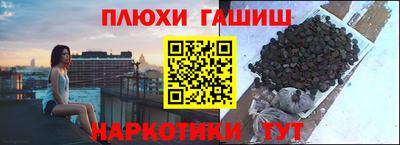 крисы Сланцы